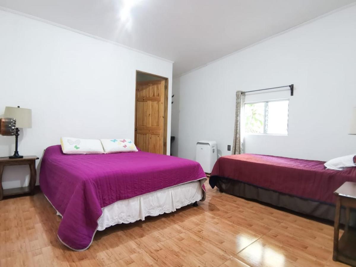 Casita Happy Feet And Tours Corcovado Otel Drakes Bay Dış mekan fotoğraf